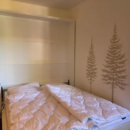 Apartman In Im Oberharz *