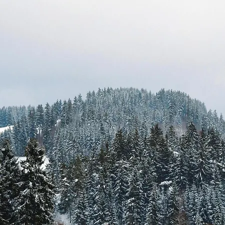 In Im Oberharz Apartman